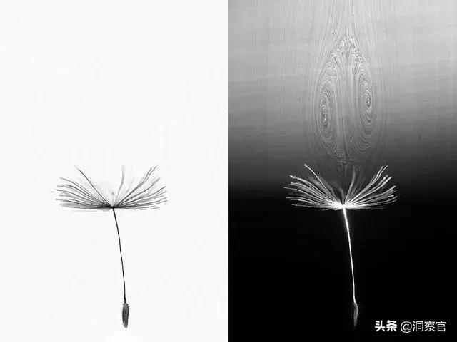 科学家：我们找到了新的飞行方式，未来制造飞碟或将成为现实417 / 作者:lcd7171 / 帖子ID:53779