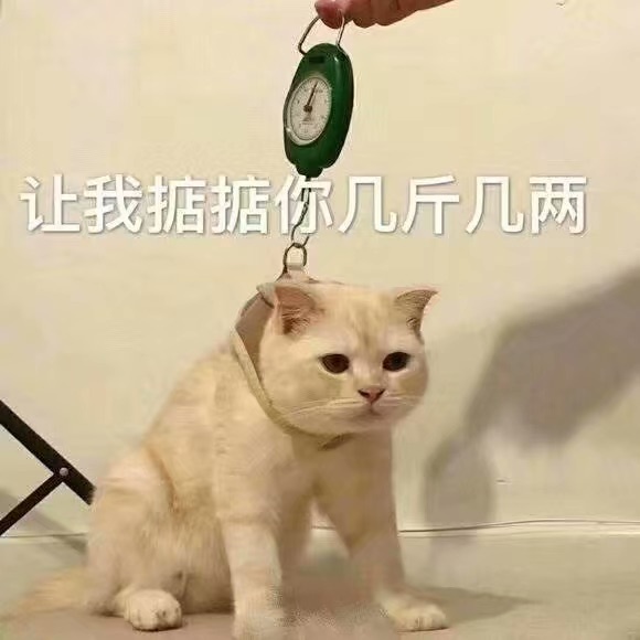 如何看待美军首次承认遭遇UFO？553 / 作者:redfree / 帖子ID:53787