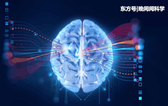 人类大脑停止进化了？科学家深入研究，最终证实了这一发现160 / 作者:凌8乱 / 帖子ID:53830
