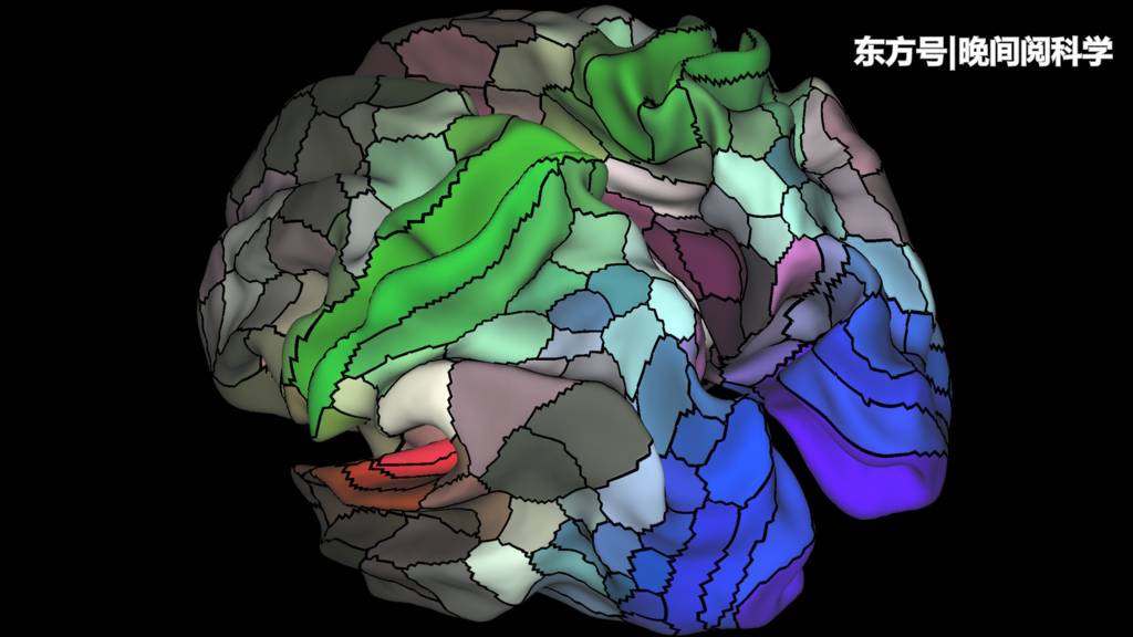 人类大脑停止进化了？科学家深入研究，最终证实了这一发现244 / 作者:凌8乱 / 帖子ID:53830