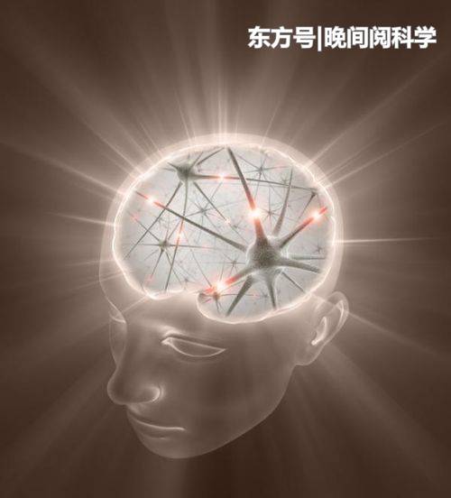 人类大脑停止进化了？科学家深入研究，最终证实了这一发现272 / 作者:凌8乱 / 帖子ID:53830