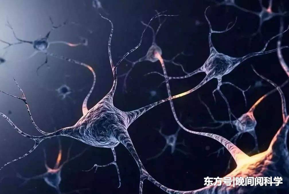 人类大脑与宇宙极度相似，古人早已发现，这种现象暗示着什么？864 / 作者:eMzRsGiW / 帖子ID:53834