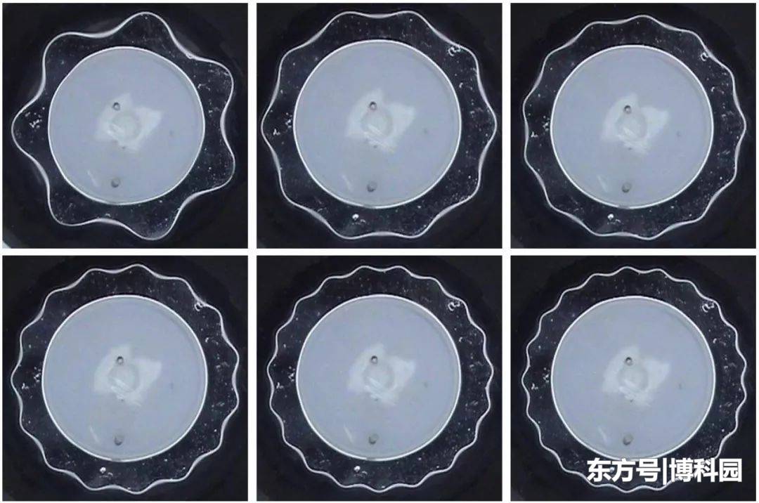 首次观察到流体共振频率的稳定环面！涡环的动力学由外围结构主导33 / 作者:bigocean / 帖子ID:53885
