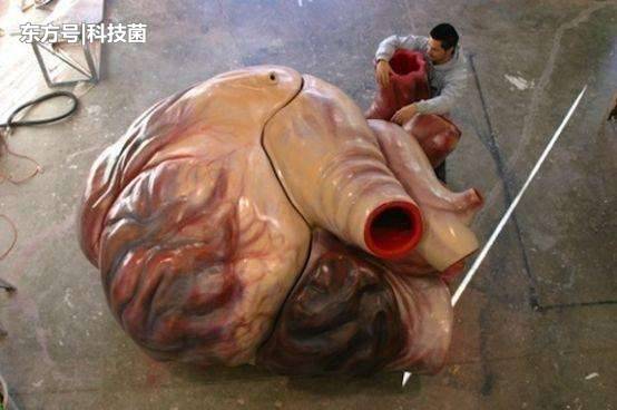 地球史上最大的生物，并非史前生物，而是如今的它？410 / 作者:rzgjudj / 帖子ID:53911
