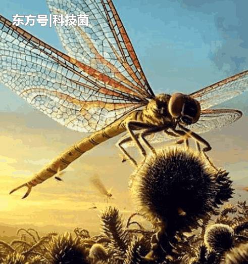 地球史上最大的生物，并非史前生物，而是如今的它？681 / 作者:rzgjudj / 帖子ID:53911