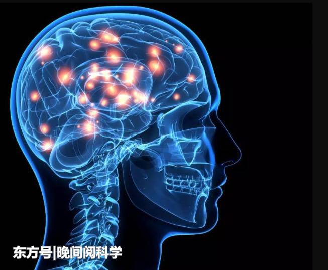 人类真的生活在3维空间吗？科学家研究发现，大脑存在11维结构429 / 作者:枣强公用号 / 帖子ID:53964