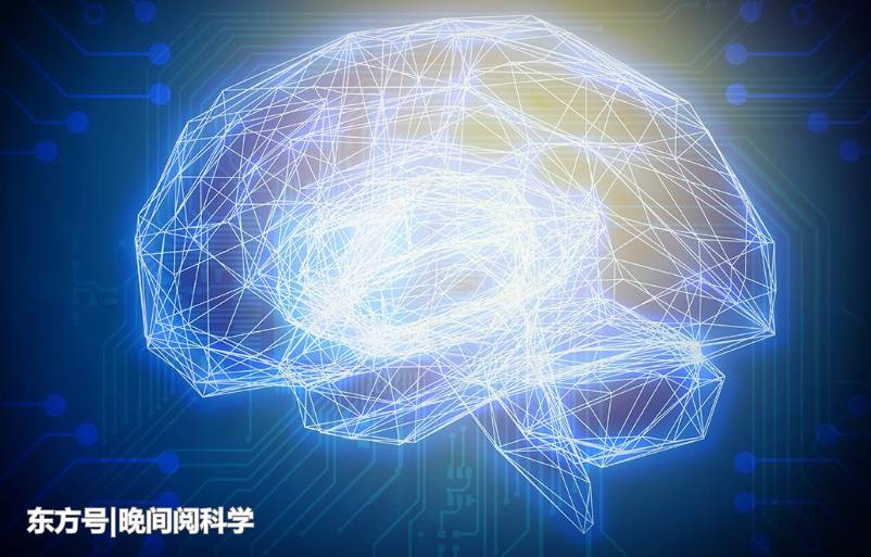 人类真的生活在3维空间吗？科学家研究发现，大脑存在11维结构576 / 作者:枣强公用号 / 帖子ID:53964