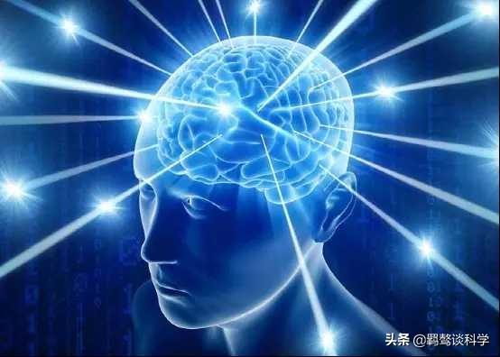 宇宙是否就是一个生命体，而星体则是细胞45 / 作者:xinting_6ym / 帖子ID:54031