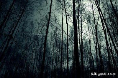 为什么经常发现不明飞行物，却无法发现外星人358 / 作者:侬去斯 / 帖子ID:54096