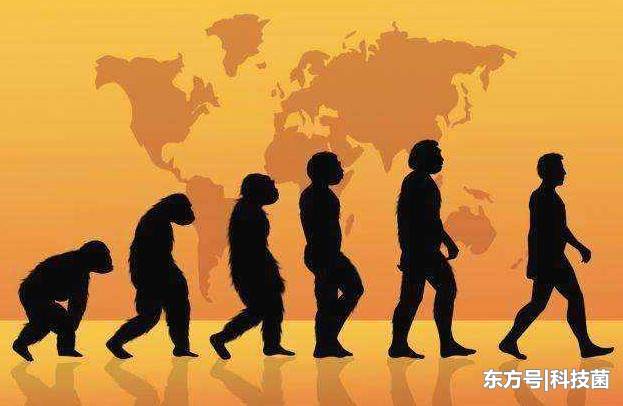 恐龙可以和人类相提比较吗？如果没有那次事故，人类会出现吗？766 / 作者:大圆镜2015 / 帖子ID:54140