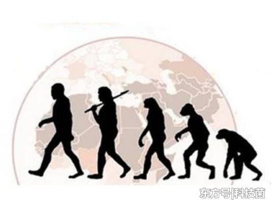 进化论证明了物种起源，但人类真是猴子进化的吗？此发现让人不解133 / 作者:极品小处男处v / 帖子ID:54143