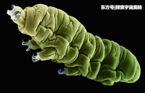 水熊虫被遗留在月球上，作为地表最强生物，它能活下来吗?923 / 作者:我放心你带套猛 / 帖子ID:54184