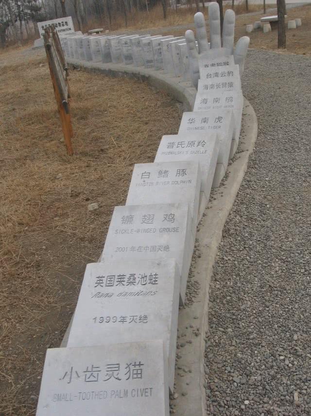 地球上总共有多少物种，又有多少物种消失了？331 / 作者:bbs7te / 帖子ID:54188