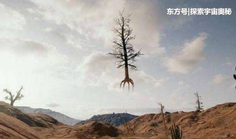 重力消失后，地球上的生物会无限繁殖吗？68 / 作者:落败的青春阳落s / 帖子ID:54218
