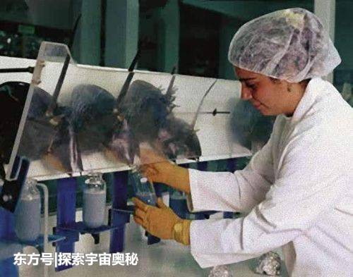 和恐龙同期的蓝血生物，熬过了两次毁灭期，却逃不过人类的毒手557 / 作者:wxj_300 / 帖子ID:54229