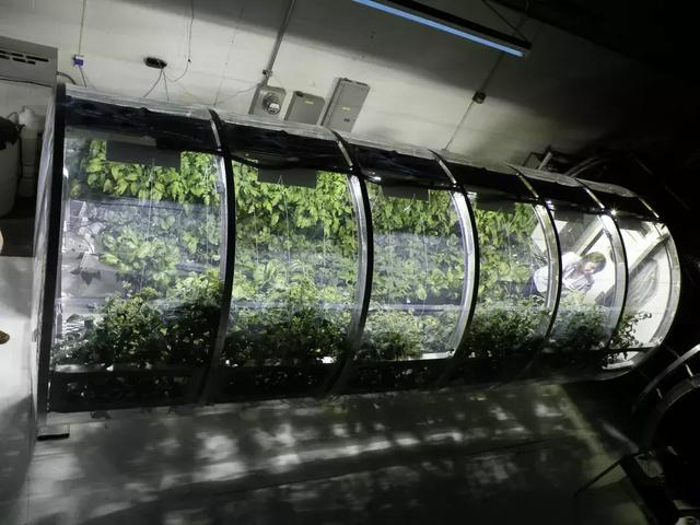 如果100万人移民火星 如何解决吃饭问题？757 / 作者:此人正在学习 / 帖子ID:54247