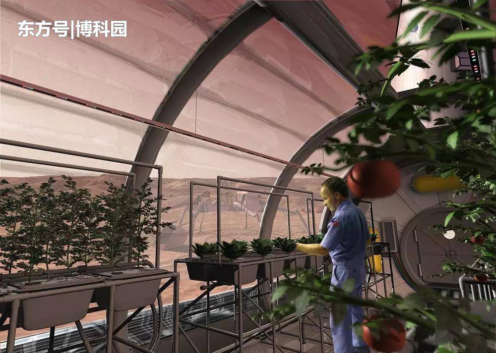 如果100万人移民火星，如何解决吃饭问题？573 / 作者:C丶sunshine / 帖子ID:54259