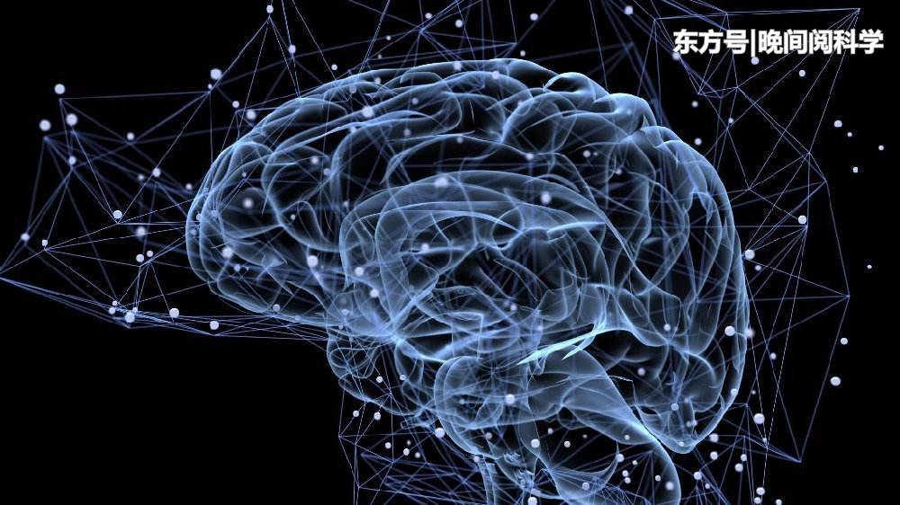 人类的意识可以形成一张巨型能量网？科学家：或与宇宙奥秘有关256 / 作者:幂倾城淮 / 帖子ID:54261