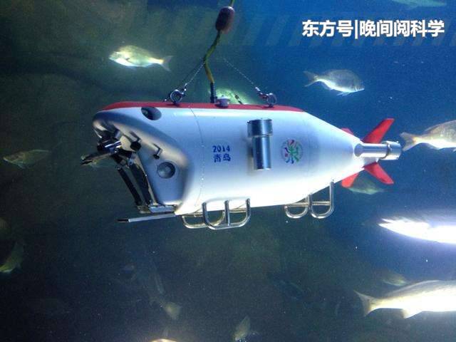 人类的意识可以形成一张巨型能量网？科学家：或与宇宙奥秘有关745 / 作者:幂倾城淮 / 帖子ID:54261
