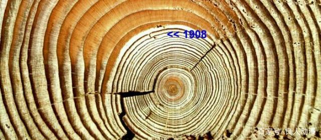 通古斯大爆炸真实原因：说是人为就是个骗局266 / 作者:伤我心太深 / 帖子ID:54308