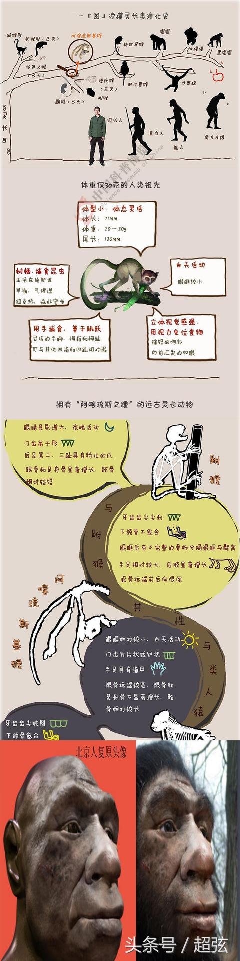 几张图概括人类起源的奥秘 一切都是顺其自然的产生214 / 作者:123456833 / 帖子ID:54339