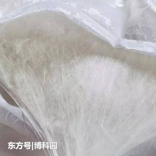聚合物纤维在低温下会脆化，蚕丝却能够承受零下200度！937 / 作者:dazidan / 帖子ID:54356