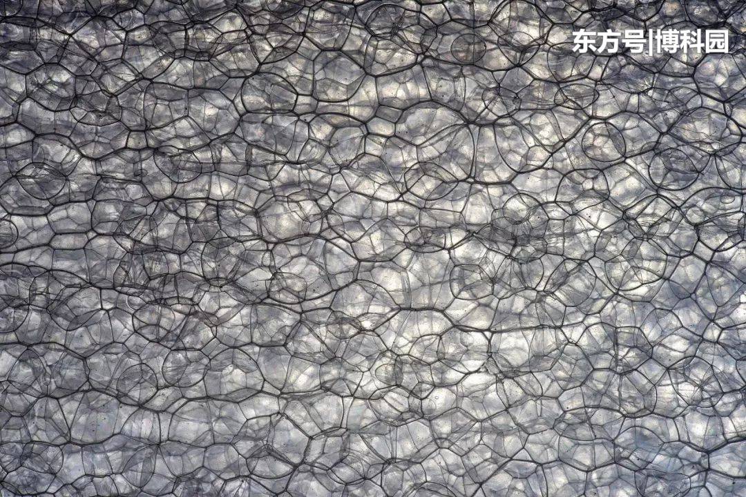 为什么真空中还有巨大的能量？时空中或许被“量子泡沫”填满！256 / 作者:和你相伴1 / 帖子ID:54362
