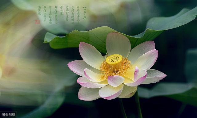 科学家揭秘宇宙诞生的真相164 / 作者:狭缝求生室 / 帖子ID:54367