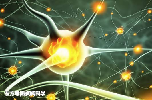 科学家在人脑内发现“多维宇宙”，人脑或是打开11维空间的钥匙558 / 作者:落日五湖W / 帖子ID:54392