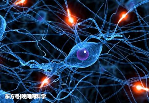 科学家在人脑内发现“多维宇宙”，人脑或是打开11维空间的钥匙686 / 作者:落日五湖W / 帖子ID:54392