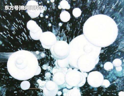 西伯利亚鼓起7000多个气泡，科学家看到里面物质后，感到担忧871 / 作者:白云追月素 / 帖子ID:54399