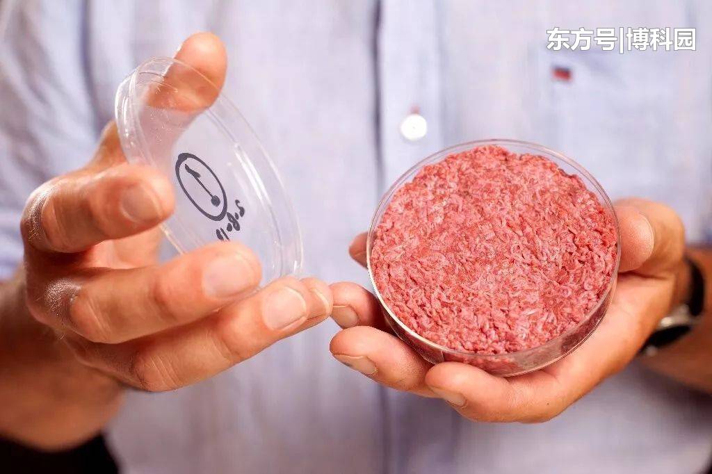 在空间站实现人造肉！你会吃人造牛肉、兔和鱼等太空造吗？676 / 作者:极品小处男处v / 帖子ID:54443