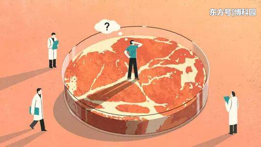 在空间站实现人造肉！你会吃人造牛肉、兔和鱼等太空造吗？419 / 作者:极品小处男处v / 帖子ID:54443