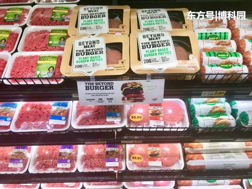 在空间站实现人造肉！你会吃人造牛肉、兔和鱼等太空造吗？49 / 作者:极品小处男处v / 帖子ID:54443