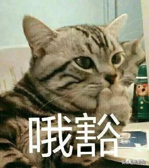 暗物质宇宙的美梦与七十多亿人的地球，遇见“你”真的容易吗940 / 作者:悦刈 / 帖子ID:54465