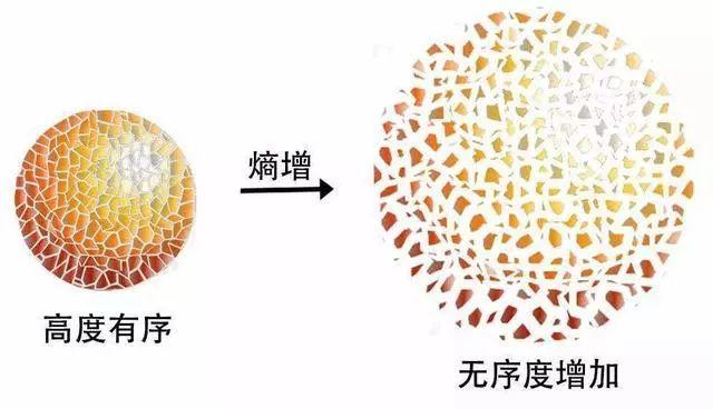 宇宙不可观测区域，存在比星球还大的生命体吗？543 / 作者:zjtzljr / 帖子ID:54657