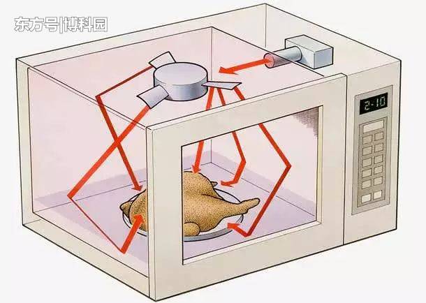 人站在微波炉前安全吗？390 / 作者:动网沙滩 / 帖子ID:54708