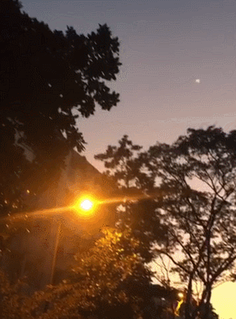 UFO成常态化？浙江杭州再现不明飞行物！专家：或是炫光造成的381 / 作者:idp888 / 帖子ID:54735