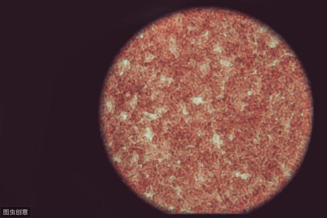 一个新的粒子或将改变宇宙的命运？科学家表示暗能量是关键338 / 作者:流动532 / 帖子ID:54740
