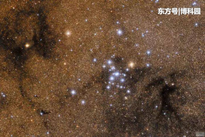 这个球状星团，距离银河系中心只有2280光年504 / 作者:28587186 / 帖子ID:54741