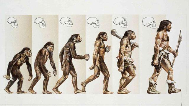 你相信达尔文进化论吗？科学家坦言：人类可能是唯一的智慧生命875 / 作者:新北狂纱 / 帖子ID:54794