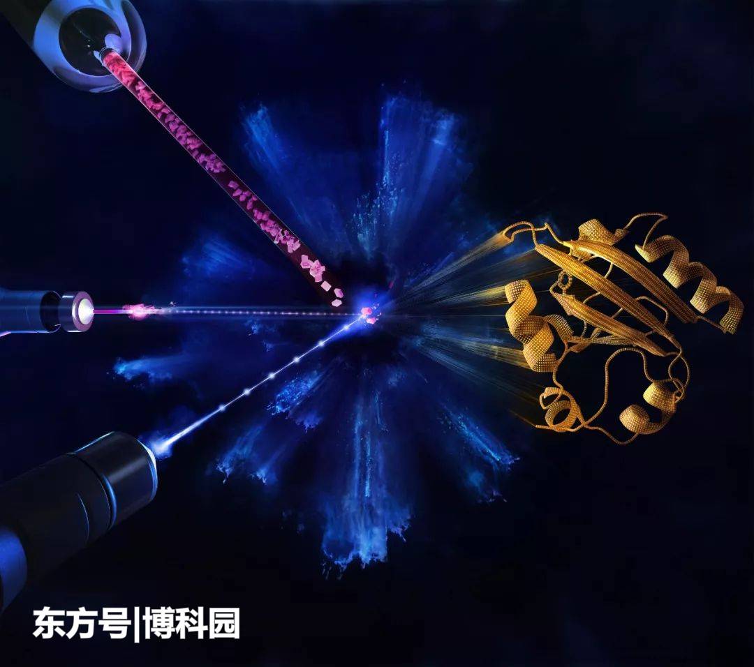 蛋白质研究的新时代：终于实观察蛋白质，是如何正确地发挥作用！355 / 作者:LANLAN88 / 帖子ID:54849