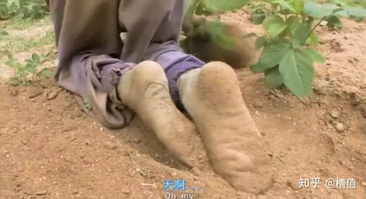既然所有的生命都要死亡，那么生命的意义是什么？659 / 作者:啤酒瓶空了缓 / 帖子ID:54862
