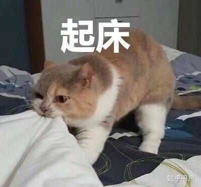 为什么已经有了高性能的氢氧火箭，人类还要开发甲烷火箭？202 / 作者:星星糖SUNG / 帖子ID:54865