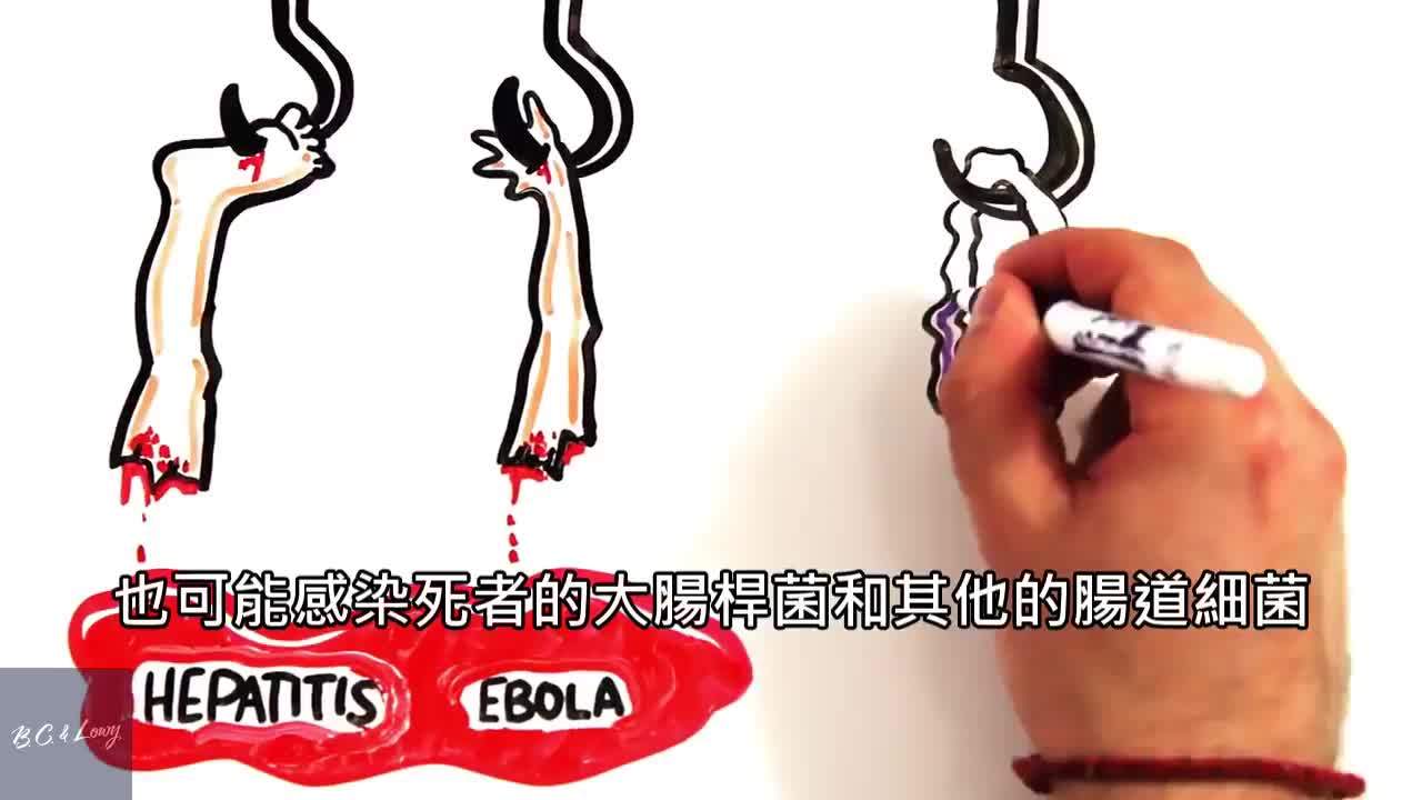 人类会不会吃人类？为什么？925 / 作者:dazidan / 帖子ID:54866