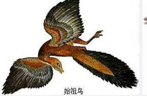 如果从古猿到人的进化是连续的，那么在意识上，第一个人类是怎么觉醒的，并认为他已经不是古猿了，而是人类？26 / 作者:新鬼子 / 帖子ID:54889