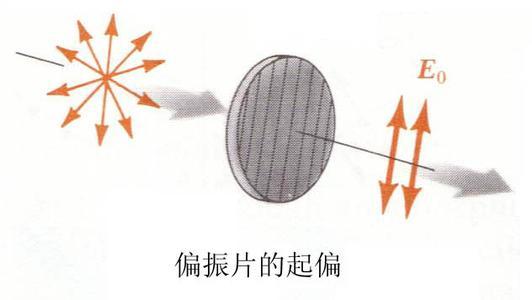 为什么来自生命物质的同分异构体都是右旋的？489 / 作者:宇宙无限 / 帖子ID:54893