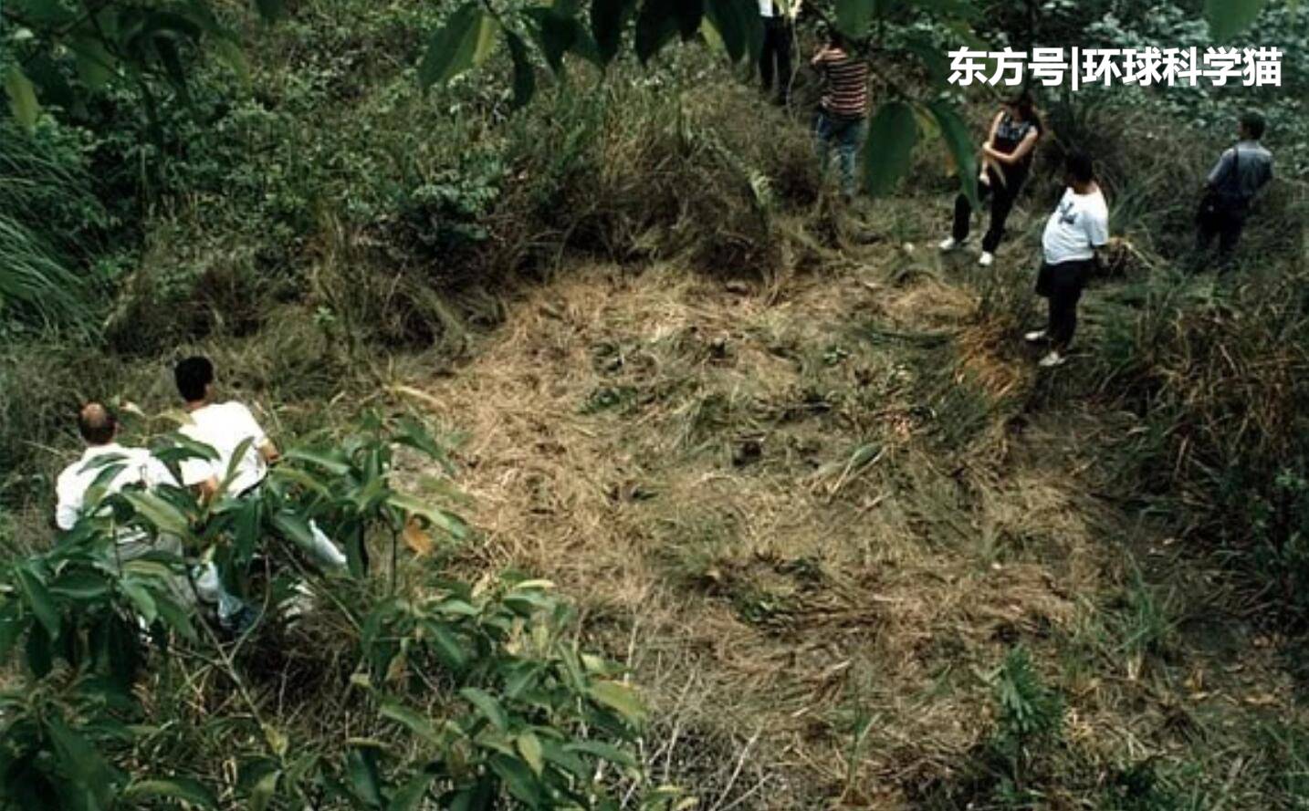渔民看到不明飞行物降落！着陆区现直径约5米的圆圈732 / 作者:侬去斯 / 帖子ID:54943