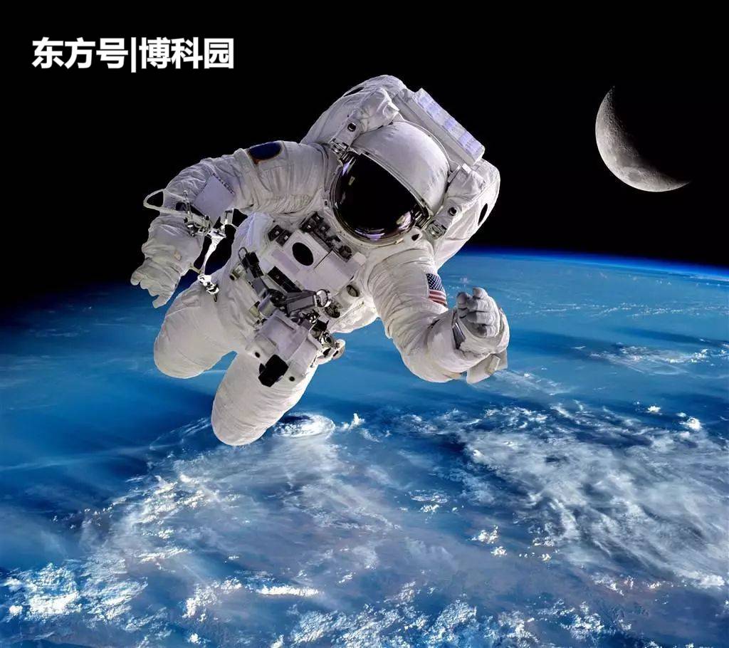 最新研究发现：在太空旅行微重力下，会使人的肠子漏水！599 / 作者:喜喜保镖撼 / 帖子ID:55002