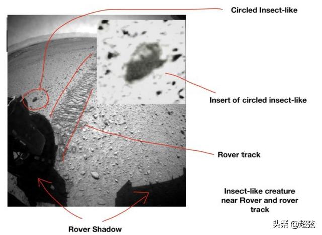 科学家声称发现火星生命，专家：别引起恐慌，这不是外星人832 / 作者:马宝清马宝清 / 帖子ID:55034